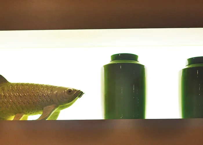 Ibis Styles Centre Gare 3* לוקסמבורג