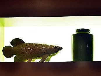 Ibis Styles Centre Gare 3* Lüksemburg