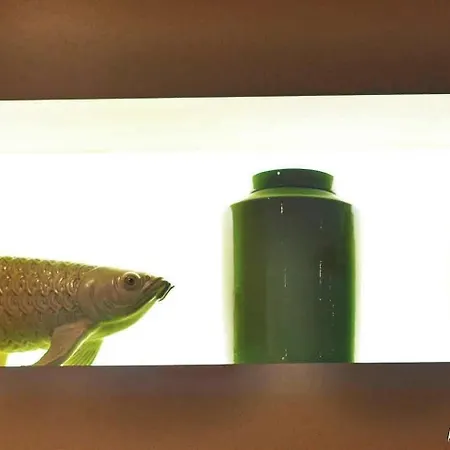 Ibis Styles Centre Gare Hotell Luxemburg